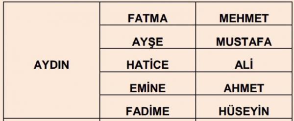 Nfus statistikleri Daire Bakanl 81 ilde ailelerin ocuklarna verdii ilk 5 isimi aklad. te illere gre kz ve erkek ocuklarna verilen isimler...