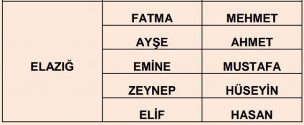 Nfus statistikleri Daire Bakanl 81 ilde ailelerin ocuklarna verdii ilk 5 isimi aklad. te illere gre kz ve erkek ocuklarna verilen isimler...