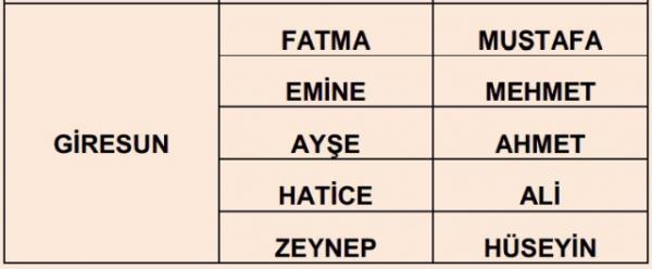 Nfus statistikleri Daire Bakanl 81 ilde ailelerin ocuklarna verdii ilk 5 isimi aklad. te illere gre kz ve erkek ocuklarna verilen isimler...
