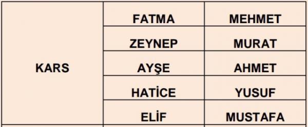 Nfus statistikleri Daire Bakanl 81 ilde ailelerin ocuklarna verdii ilk 5 isimi aklad. te illere gre kz ve erkek ocuklarna verilen isimler...