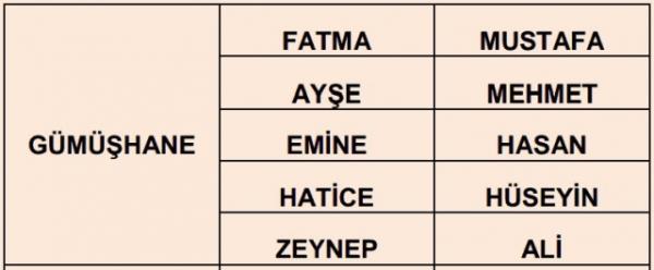 Nfus statistikleri Daire Bakanl 81 ilde ailelerin ocuklarna verdii ilk 5 isimi aklad. te illere gre kz ve erkek ocuklarna verilen isimler...
