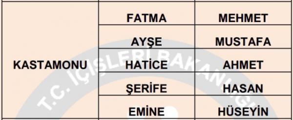 Nfus statistikleri Daire Bakanl 81 ilde ailelerin ocuklarna verdii ilk 5 isimi aklad. te illere gre kz ve erkek ocuklarna verilen isimler...