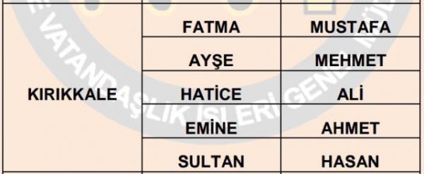 Nfus statistikleri Daire Bakanl 81 ilde ailelerin ocuklarna verdii ilk 5 isimi aklad. te illere gre kz ve erkek ocuklarna verilen isimler...