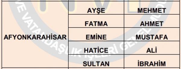 Nfus statistikleri Daire Bakanl 81 ilde ailelerin ocuklarna verdii ilk 5 isimi aklad. te illere gre kz ve erkek ocuklarna verilen isimler...