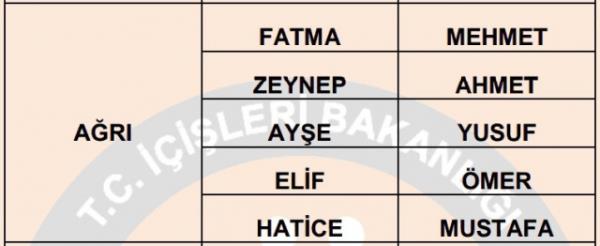 Nfus statistikleri Daire Bakanl 81 ilde ailelerin ocuklarna verdii ilk 5 isimi aklad. te illere gre kz ve erkek ocuklarna verilen isimler...