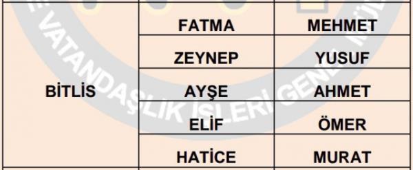 Nfus statistikleri Daire Bakanl 81 ilde ailelerin ocuklarna verdii ilk 5 isimi aklad. te illere gre kz ve erkek ocuklarna verilen isimler...