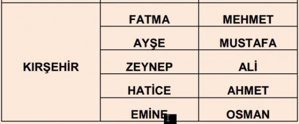 Nfus statistikleri Daire Bakanl 81 ilde ailelerin ocuklarna verdii ilk 5 isimi aklad. te illere gre kz ve erkek ocuklarna verilen isimler...