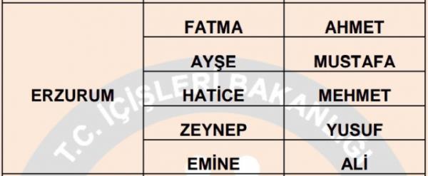 Nfus statistikleri Daire Bakanl 81 ilde ailelerin ocuklarna verdii ilk 5 isimi aklad. te illere gre kz ve erkek ocuklarna verilen isimler...