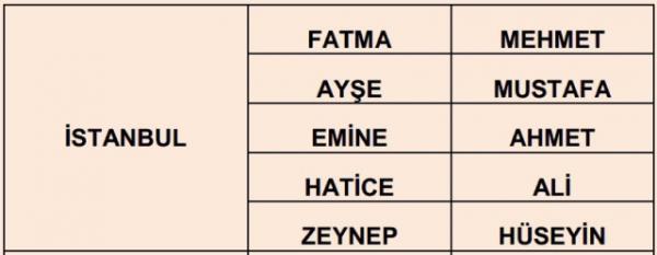 Nfus statistikleri Daire Bakanl 81 ilde ailelerin ocuklarna verdii ilk 5 isimi aklad. te illere gre kz ve erkek ocuklarna verilen isimler...