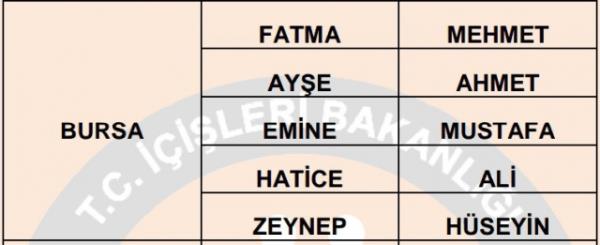 Nfus statistikleri Daire Bakanl 81 ilde ailelerin ocuklarna verdii ilk 5 isimi aklad. te illere gre kz ve erkek ocuklarna verilen isimler...