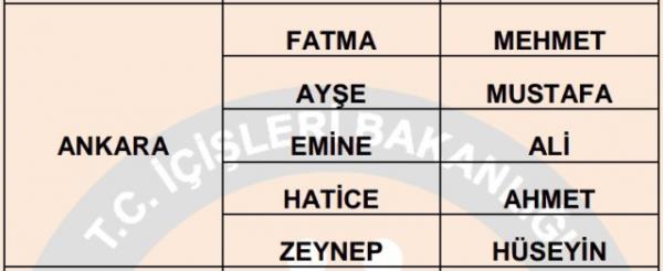 Nfus statistikleri Daire Bakanl 81 ilde ailelerin ocuklarna verdii ilk 5 isimi aklad. te illere gre kz ve erkek ocuklarna verilen isimler...