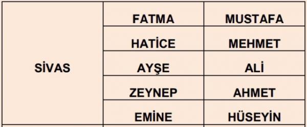 Nfus statistikleri Daire Bakanl 81 ilde ailelerin ocuklarna verdii ilk 5 isimi aklad. te illere gre kz ve erkek ocuklarna verilen isimler...