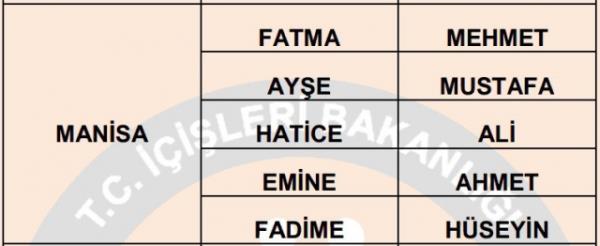 Nfus statistikleri Daire Bakanl 81 ilde ailelerin ocuklarna verdii ilk 5 isimi aklad. te illere gre kz ve erkek ocuklarna verilen isimler...