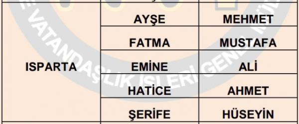 Nfus statistikleri Daire Bakanl 81 ilde ailelerin ocuklarna verdii ilk 5 isimi aklad. te illere gre kz ve erkek ocuklarna verilen isimler...