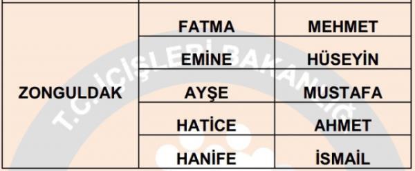 Nfus statistikleri Daire Bakanl 81 ilde ailelerin ocuklarna verdii ilk 5 isimi aklad. te illere gre kz ve erkek ocuklarna verilen isimler...