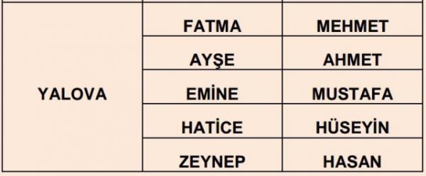 Nfus statistikleri Daire Bakanl 81 ilde ailelerin ocuklarna verdii ilk 5 isimi aklad. te illere gre kz ve erkek ocuklarna verilen isimler...