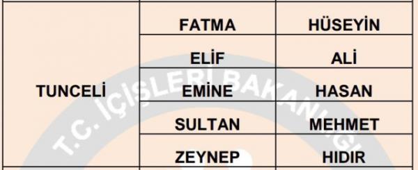 Nfus statistikleri Daire Bakanl 81 ilde ailelerin ocuklarna verdii ilk 5 isimi aklad. te illere gre kz ve erkek ocuklarna verilen isimler...