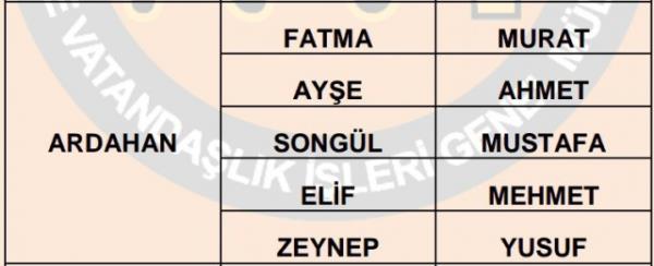 Nfus statistikleri Daire Bakanl 81 ilde ailelerin ocuklarna verdii ilk 5 isimi aklad. te illere gre kz ve erkek ocuklarna verilen isimler...