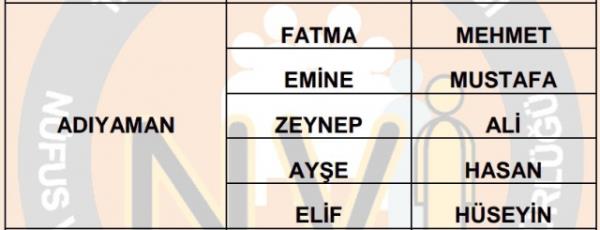 Nfus statistikleri Daire Bakanl 81 ilde ailelerin ocuklarna verdii ilk 5 isimi aklad. te illere gre kz ve erkek ocuklarna verilen isimler...