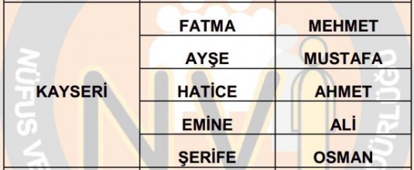 Nfus statistikleri Daire Bakanl 81 ilde ailelerin ocuklarna verdii ilk 5 isimi aklad. te illere gre kz ve erkek ocuklarna verilen isimler...
