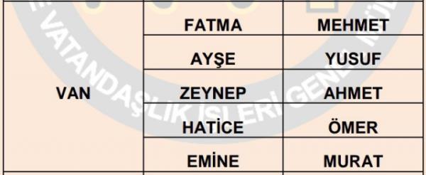 Nfus statistikleri Daire Bakanl 81 ilde ailelerin ocuklarna verdii ilk 5 isimi aklad. te illere gre kz ve erkek ocuklarna verilen isimler...