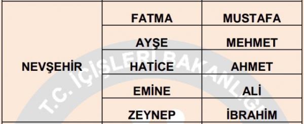 Nfus statistikleri Daire Bakanl 81 ilde ailelerin ocuklarna verdii ilk 5 isimi aklad. te illere gre kz ve erkek ocuklarna verilen isimler...