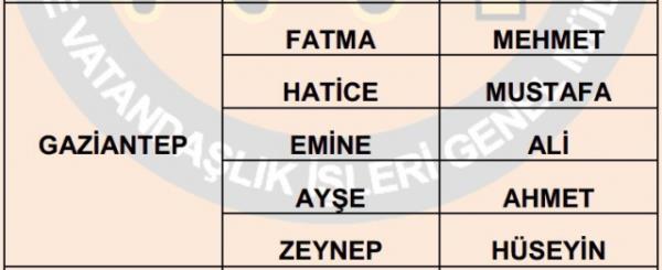 Nfus statistikleri Daire Bakanl 81 ilde ailelerin ocuklarna verdii ilk 5 isimi aklad. te illere gre kz ve erkek ocuklarna verilen isimler...