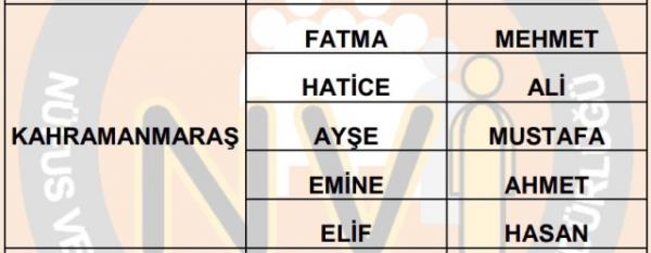 Nfus statistikleri Daire Bakanl 81 ilde ailelerin ocuklarna verdii ilk 5 isimi aklad. te illere gre kz ve erkek ocuklarna verilen isimler...