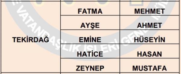 Nfus statistikleri Daire Bakanl 81 ilde ailelerin ocuklarna verdii ilk 5 isimi aklad. te illere gre kz ve erkek ocuklarna verilen isimler...