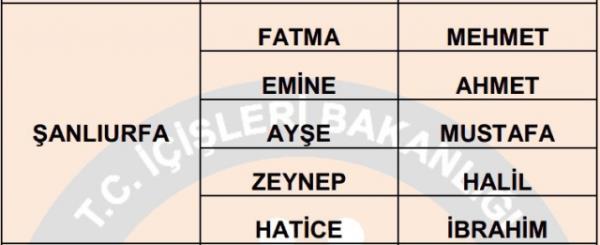 Nfus statistikleri Daire Bakanl 81 ilde ailelerin ocuklarna verdii ilk 5 isimi aklad. te illere gre kz ve erkek ocuklarna verilen isimler...