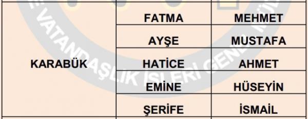 Nfus statistikleri Daire Bakanl 81 ilde ailelerin ocuklarna verdii ilk 5 isimi aklad. te illere gre kz ve erkek ocuklarna verilen isimler...