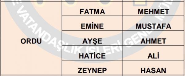 Nfus statistikleri Daire Bakanl 81 ilde ailelerin ocuklarna verdii ilk 5 isimi aklad. te illere gre kz ve erkek ocuklarna verilen isimler...