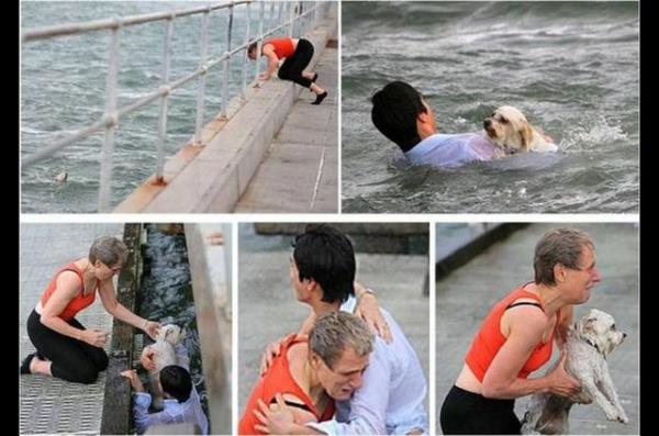 Denize den minik kpei yal sahibi kurtaramaynca imdanna yardmsever bir adam yetiti