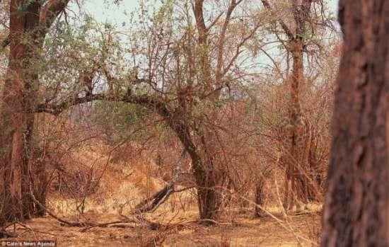 Z�refay� se�ebildiniz mi?