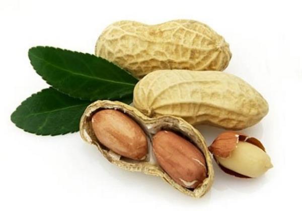 Bunun nedeni ?Tyramine? maddesi...