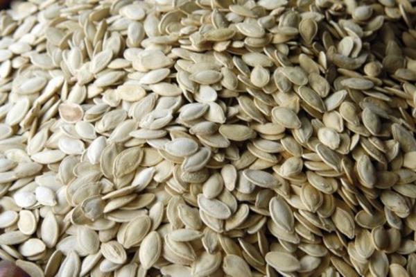 Bilimsel aratrmalara gre yer fst ve kabak ekirdei baz insanlarda ba arsna neden olabiliyor.