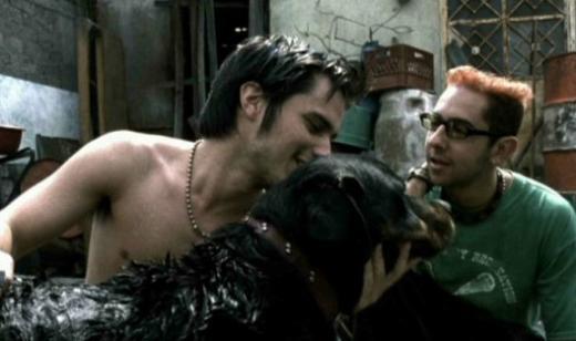 <p><b>AMORES PERROS (PARAMPARA AKLAR VE KPEKLER)</b></p>    Ynetmen: Alejandro Gonzales Inarritu (2000)