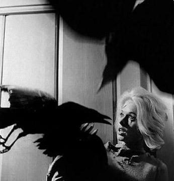 <p><b>THE BIRDS (KULAR)</b></p>    Ynetmen: Alfred Hitchcock (1963)
