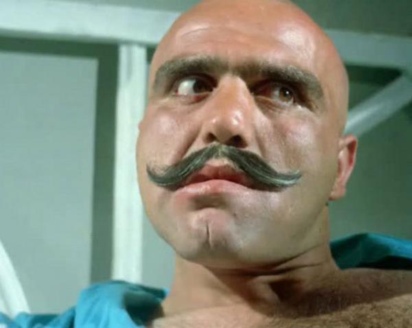 stelik bine yakn filmde rol alm, fizik olarak Yeilam'da benzeri bulunmayan bir oyuncuya, Yadigar Ejder'e...