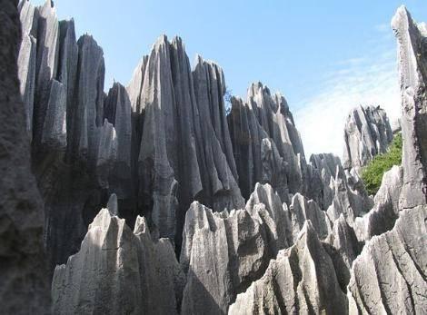 Ta Orman, in Tam 400 kilometrelik bir alana yaylm olan, dnyann kayalardan olumu en byleyici yaps, in'deki Ta Orman. Ormandaki kayalar, kire ve suyun etkileimiyle ok uzun yllar iinde olumu.