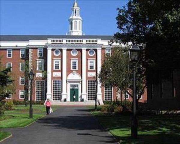 Mehlika Orakolu sadece bir gmlek zerinde alyor. ncelenmeyi bekleyen onlarca tlsml gmlek olduu hesaba katlrsa gmleklerin dilinin zlmesinin hayli vakit alaca sylenebilir. Fakat onun halihazrda zd bir figr var