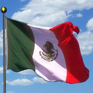 <p><b>Meksika</b></p>  Fiyat: 1650 TL