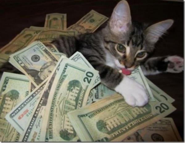 5 ocuu 12 torunu var ama 250 bin dolarini kedilere brakt...