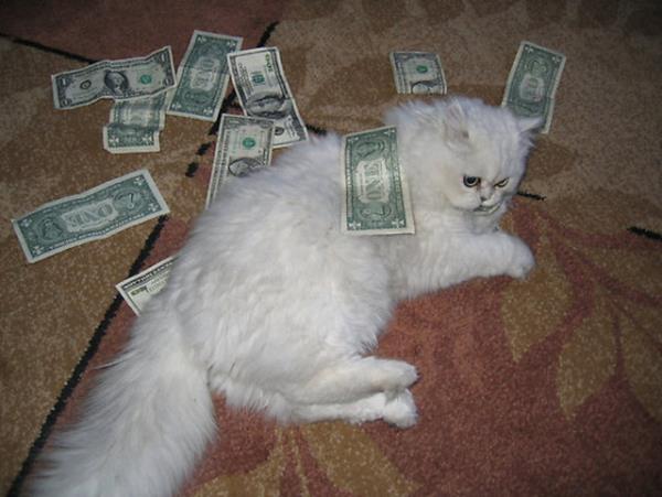 5 ocuu 12 torunu var ama 250 bin dolarini kedilere brakt...