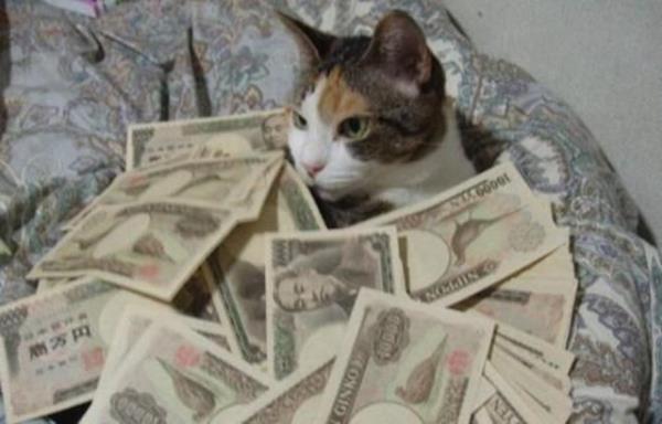 5 ocuu 12 torunu var ama 250 bin dolarini kedilere brakt...