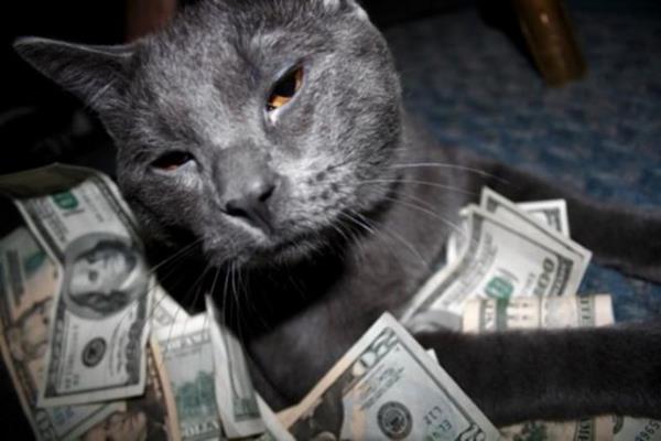 5 ocuu 12 torunu var ama 250 bin dolarini kedilere brakt...