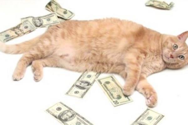 5 ocuu 12 torunu var ama 250 bin dolarini kedilere brakt...