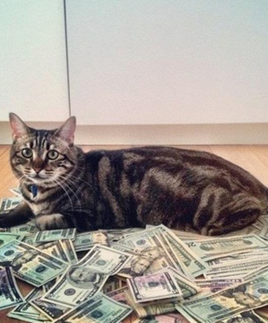 5 ocuu 12 torunu var ama 250 bin dolarini kedilere brakt...