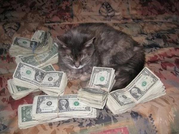 Daha nce de New York'un milyarder emlak kraliesi Leona Helmsley "Trouble" adndaki kpeine 12 milyon dolar (24.16 milyon TL) miras brakmt.