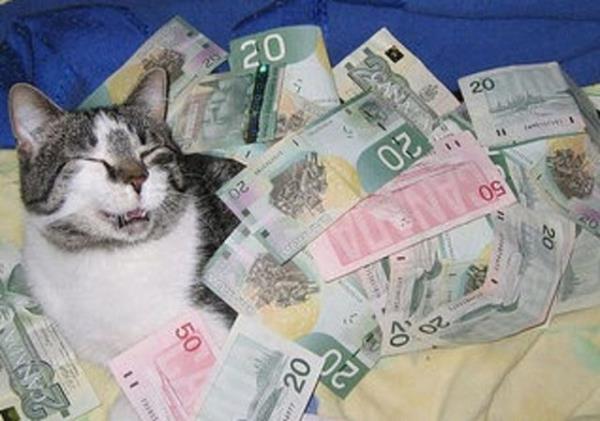 5 ocuu 12 torunu var ama 250 bin dolarini kedilere brakt...